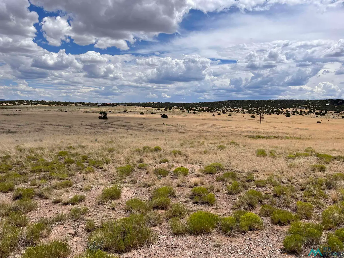 Lot 144 Quail Drive, Quemado, NM 87829 - Image #1