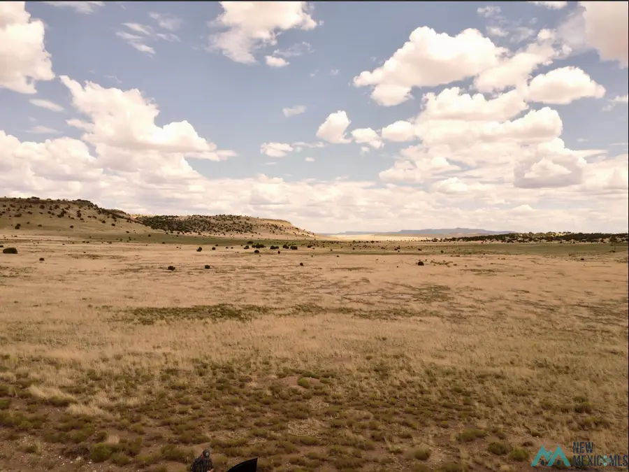 Lot 144 Quail Drive, Quemado, NM 87829 - Image #2