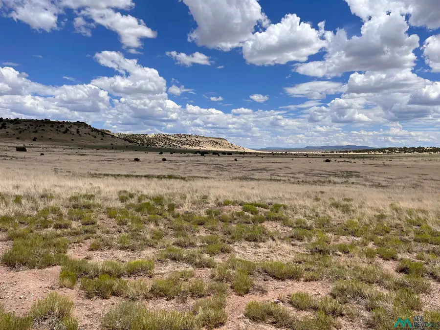 Lot 144 Quail Drive, Quemado, NM 87829 - Image #3