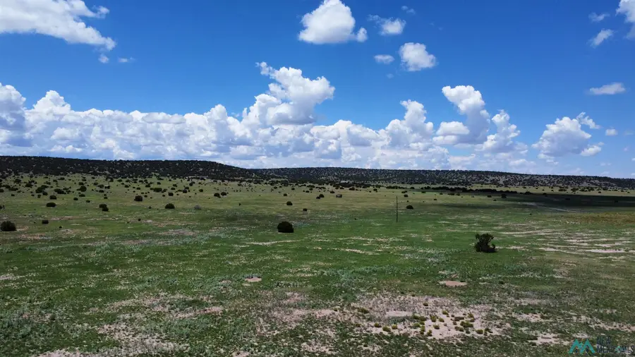 Lot 145 Quail Drive, Quemado, NM 87829 - Image #2