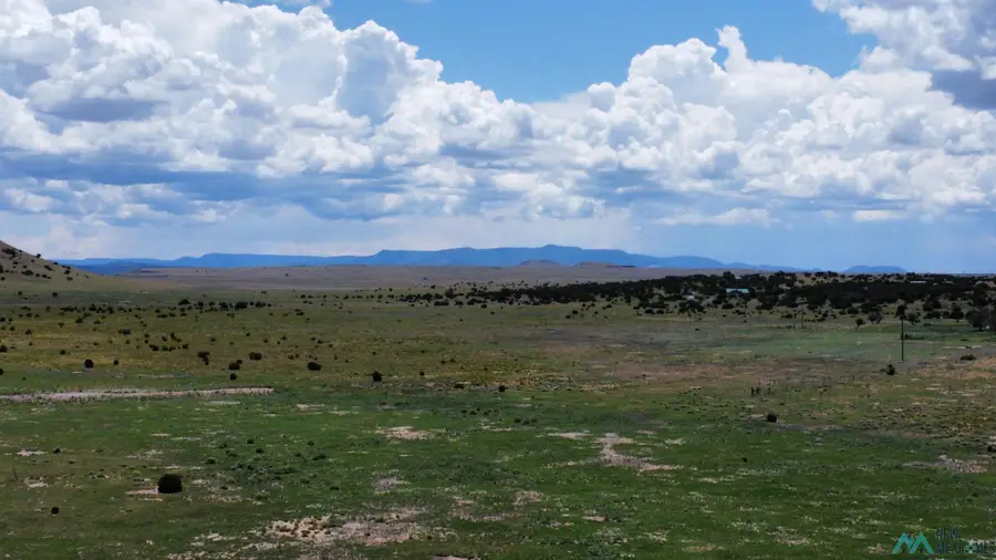 Lot 145 Quail Drive, Quemado, NM 87829 - Image #3