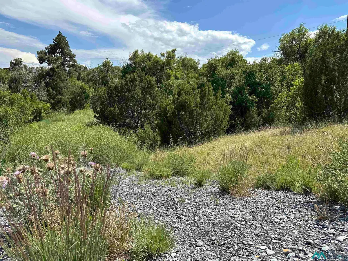 TBD Camp Luna Area Road, Las Vegas, NM 87701 - Image #1