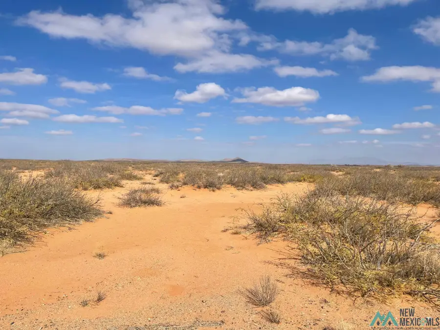 Dripper Ranch Rd Nw, Deming, NM 88030 - Image #2