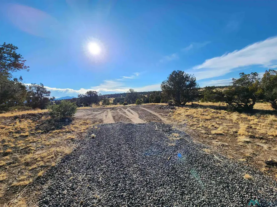 27 Equestrian Lane Road, Quemado, NM 87829 - Image #3