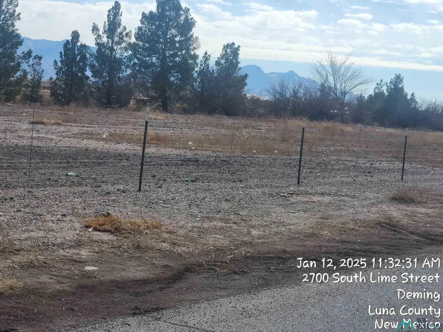 00 Camilia St Street, Deming, NM 88030 - Image #3