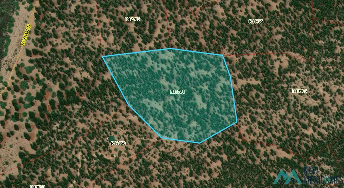 TBD Off Of Sassy Lane, Grants, NM 87020 - Image #1