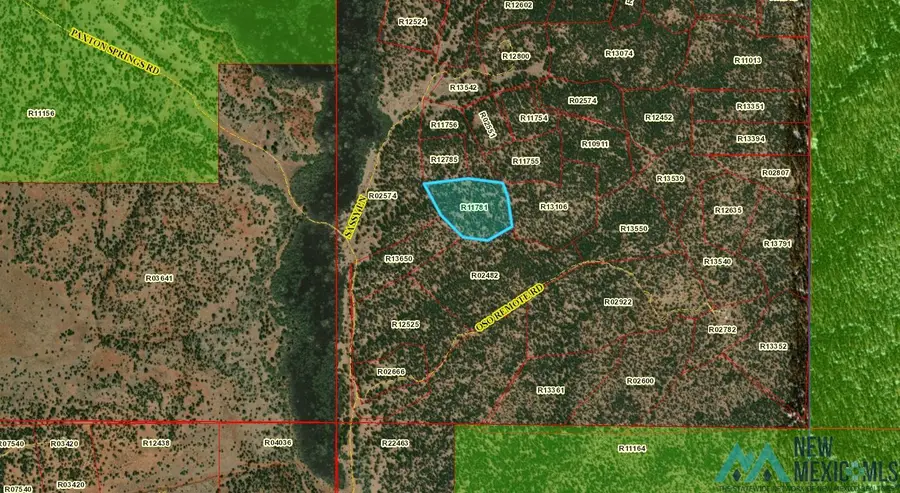 TBD Off Of Sassy Lane, Grants, NM 87020 - Image #2