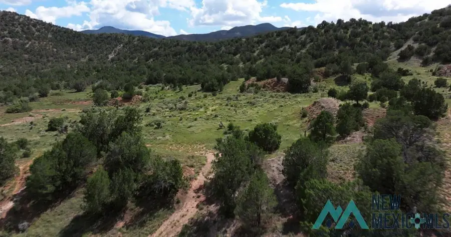 TBD Mauer Drive, Bent, NM 88314 - Image #2