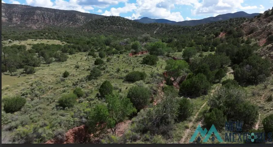 TBD Mauer Drive, Bent, NM 88314 - Image #3