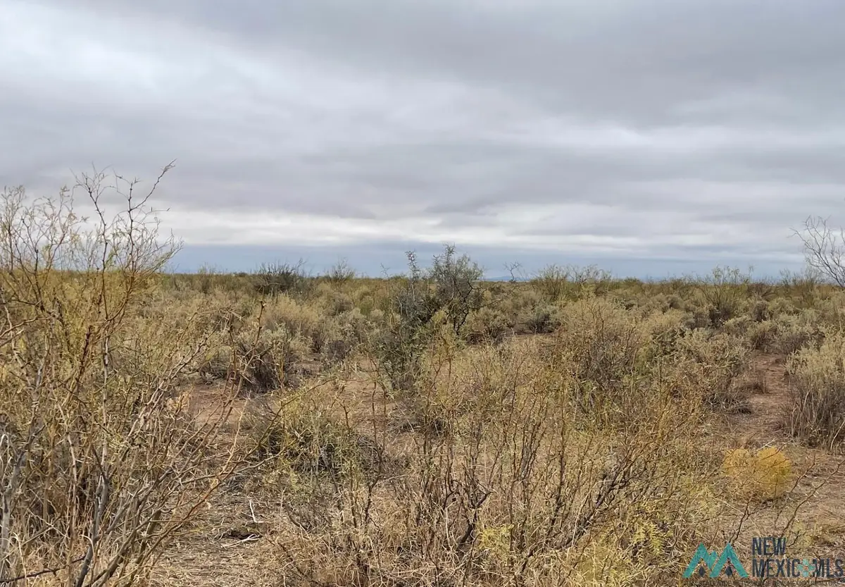 XXXX Olympic Rd Se, Deming, NM 88030 - Image #1