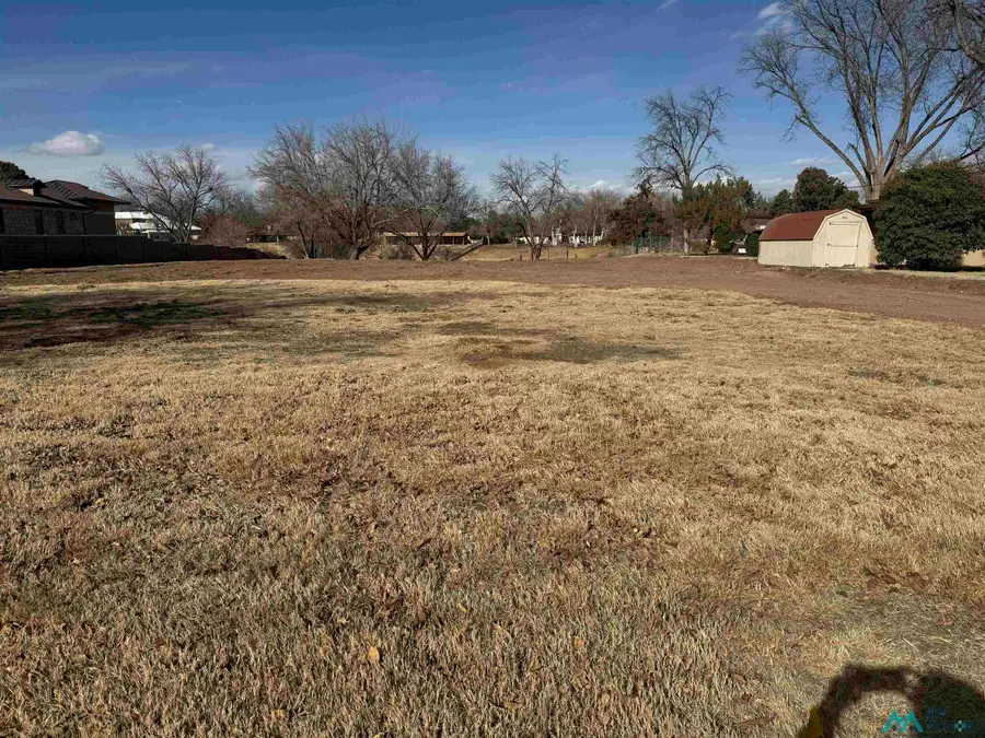 904 W Riverside Drive, Carlsbad, NM 88220 - Image #2