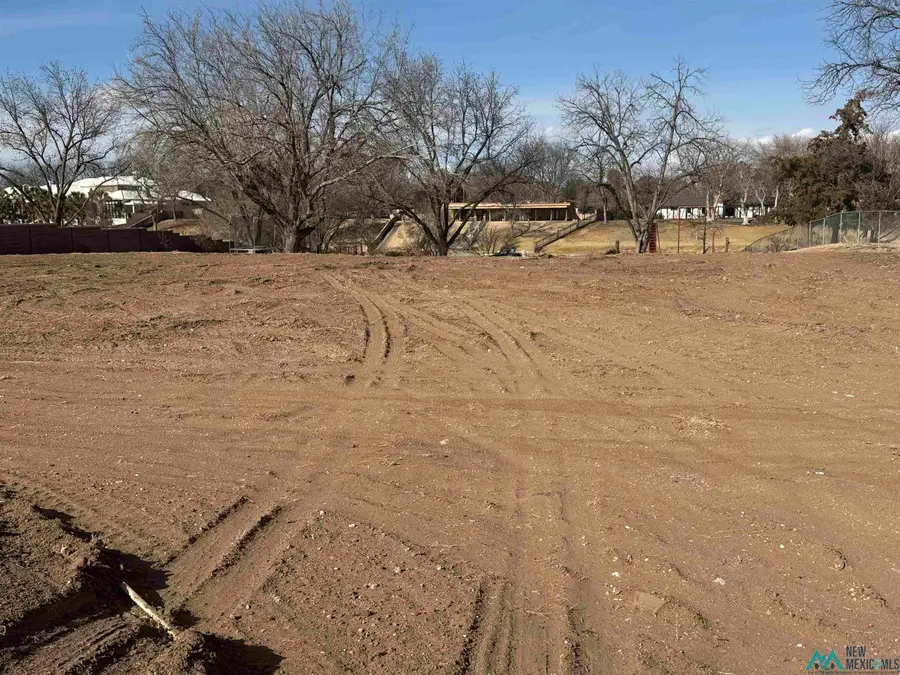 904 W Riverside Drive, Carlsbad, NM 88220 - Image #3