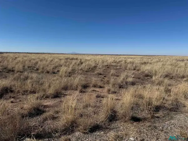 00 Wrangler, Roswell, NM 88201