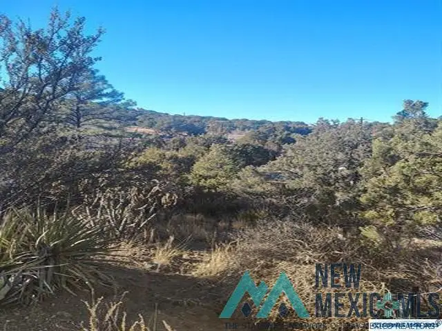 xx Hill Street, Silver City, NM 88061 - Image #1