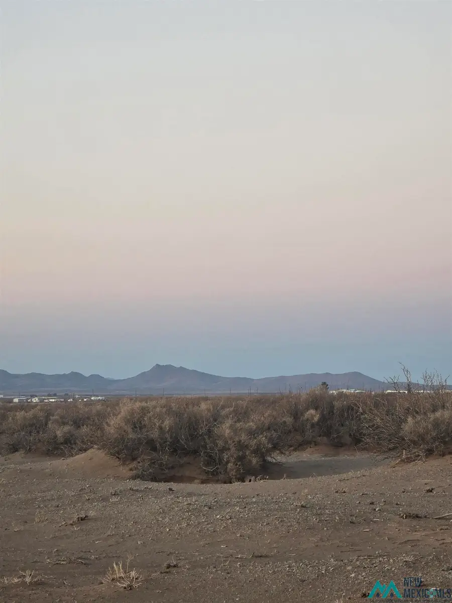 0000 Calle De Palmas Se Road, Deming, NM 88030 - Image #2