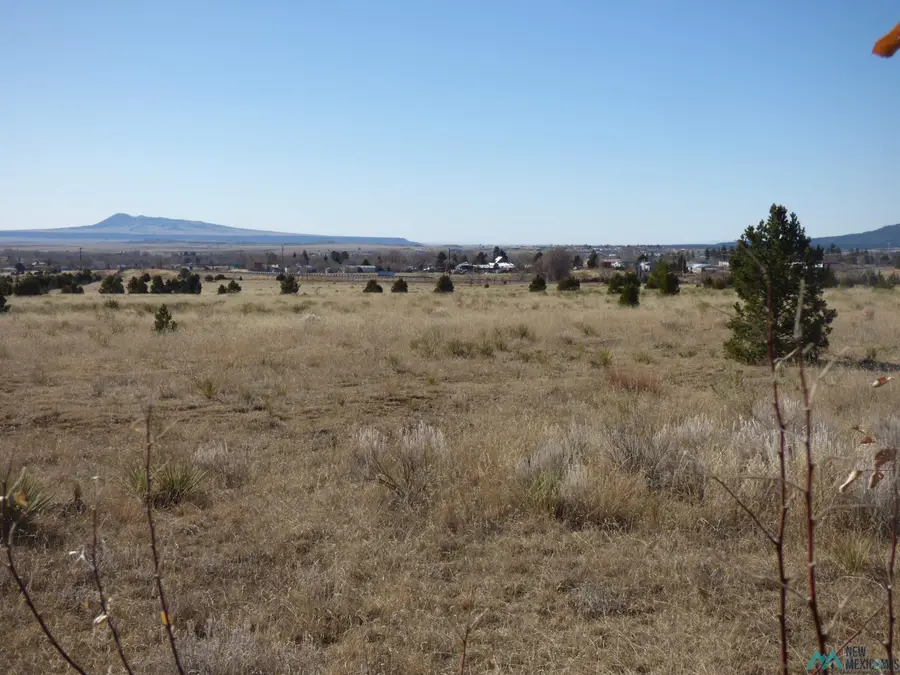 A6 Stevens Street, Raton, NM 87740 - Image #3