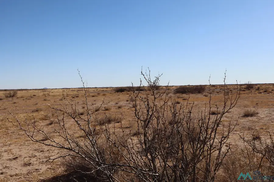 Camino De Vivir Rd Sw, Deming, NM 88030 - Image #2