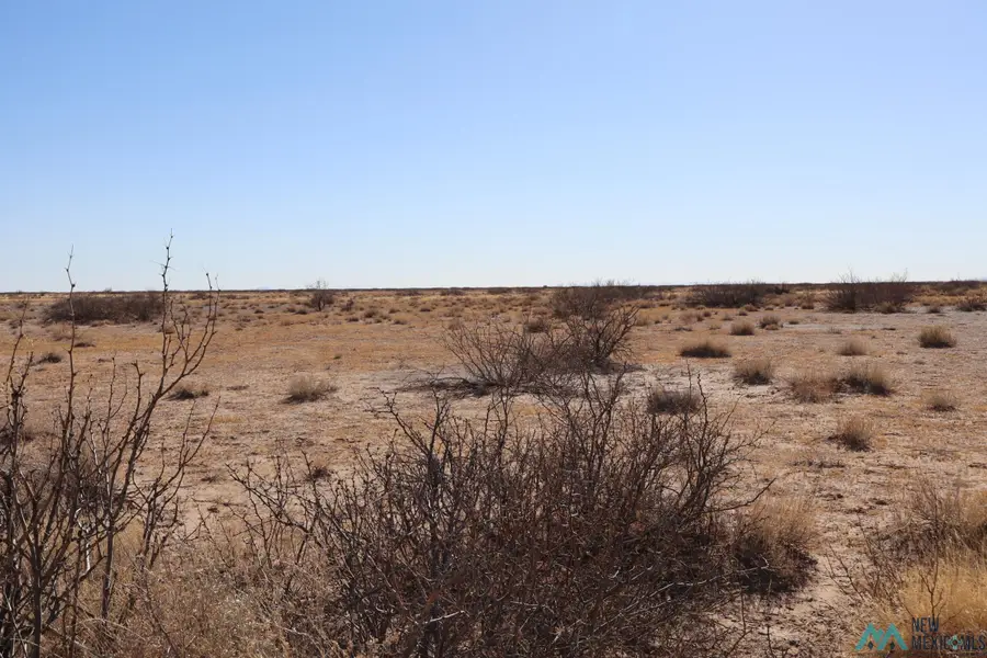 Camino De Vivir Rd Sw, Deming, NM 88030 - Image #3
