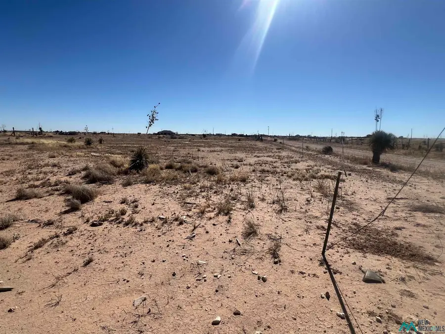 48 Spike Road, Artesia, NM 88210 - Image #3