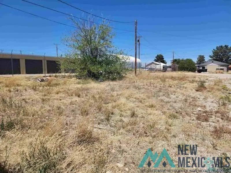 2412 W Church Street, Carlsbad, NM 88220 - Image #1