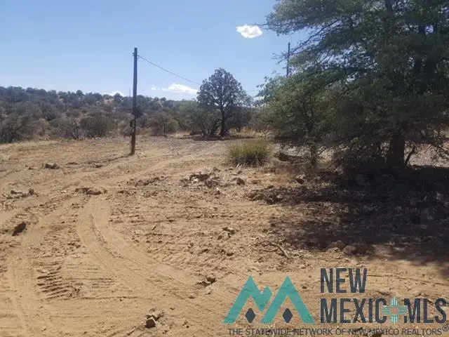 2402 Highway 90, Silver City, NM 88061 - Image #3