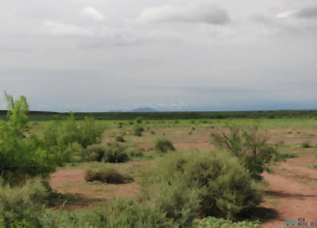 XXX Country Rd Se, Deming, NM 88030 - Image #1