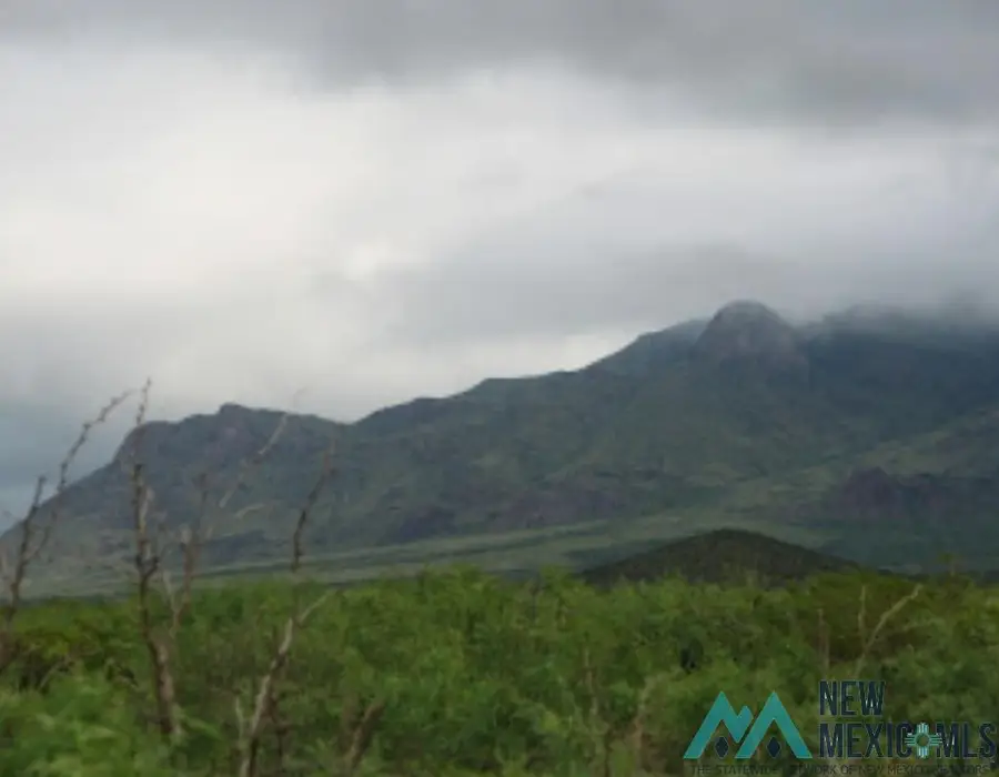XXX Country Rd Se, Deming, NM 88030 - Image #3