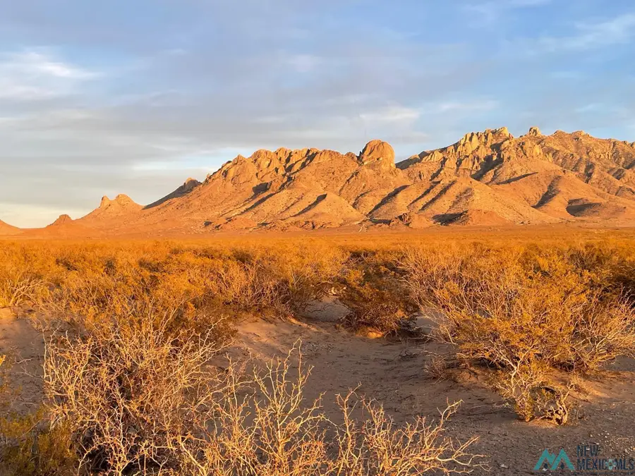 0000 Rivera Rd. Se, Deming, NM 88030 - Image #2