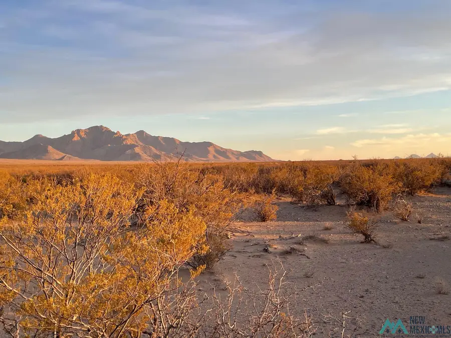 0000 Rivera Rd. Se, Deming, NM 88030 - Image #3