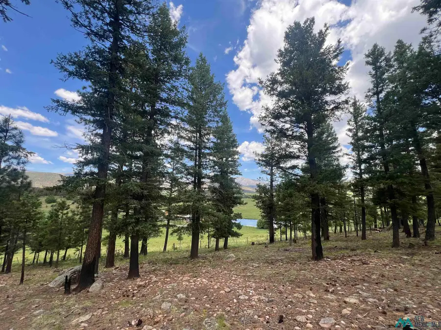 30 Goleta Court, Rociada, NM 87742 - Image #2