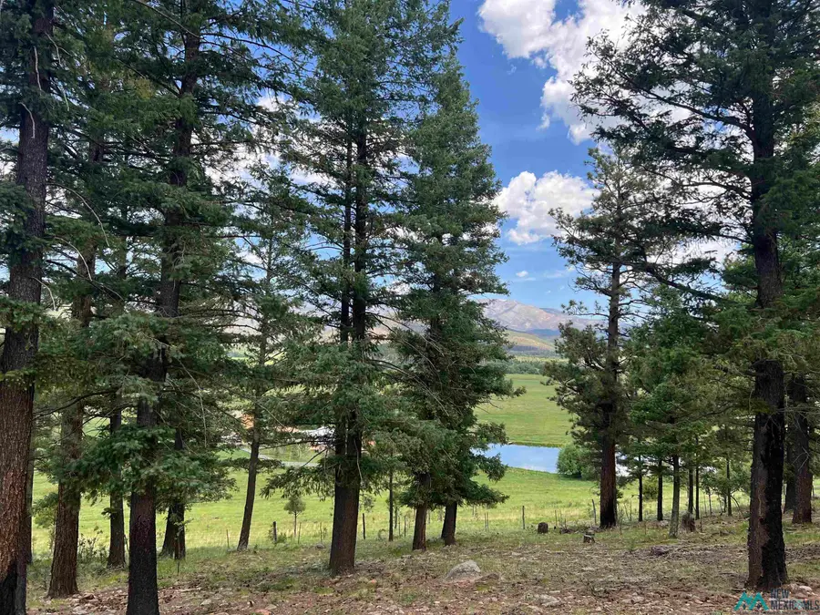 30 Goleta Court, Rociada, NM 87742 - Image #3