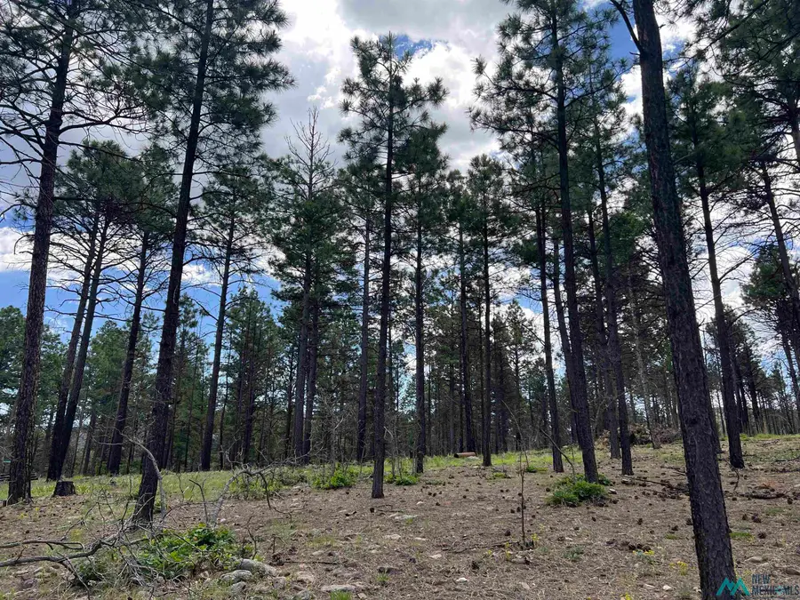 163 Goleta Court, Rociada, NM 87742 - Image #3