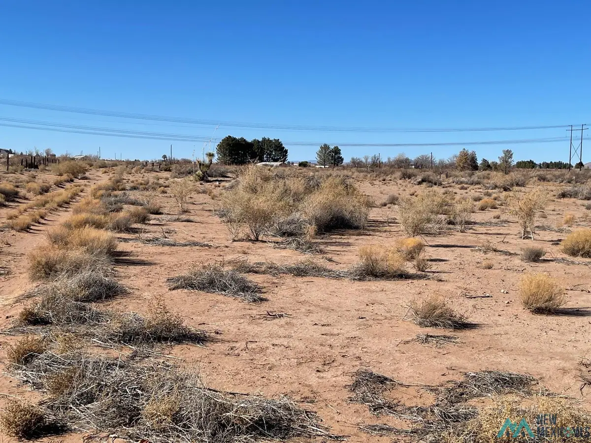 XXXX Dunes Rd Nw, Deming, NM 88030 - Image #1