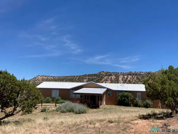 92 Mariano Springs Road, Quemado, NM 87829