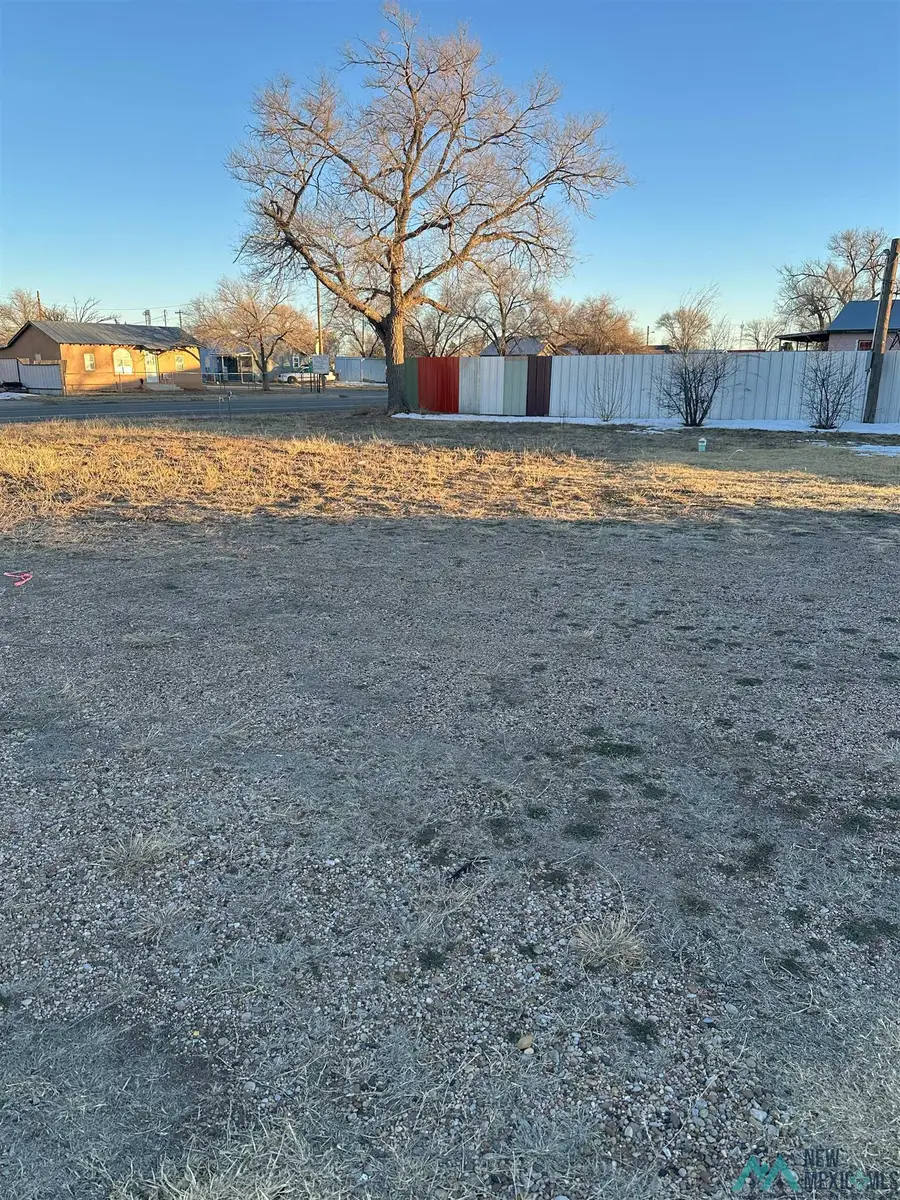 1123 N Main Street, Portales, NM 88130 - Image #3