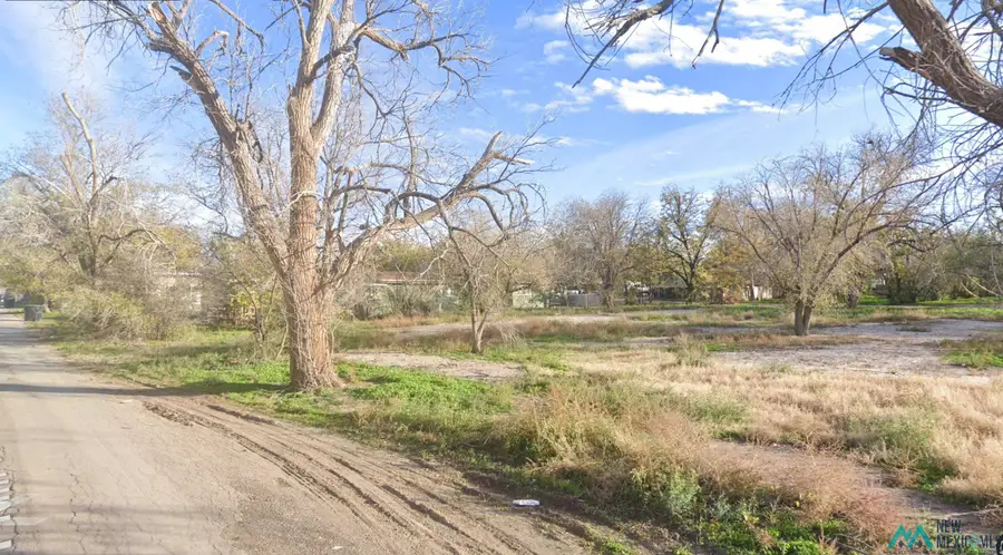 707 E 3rd Street, Roswell, NM 88201 - Image #2