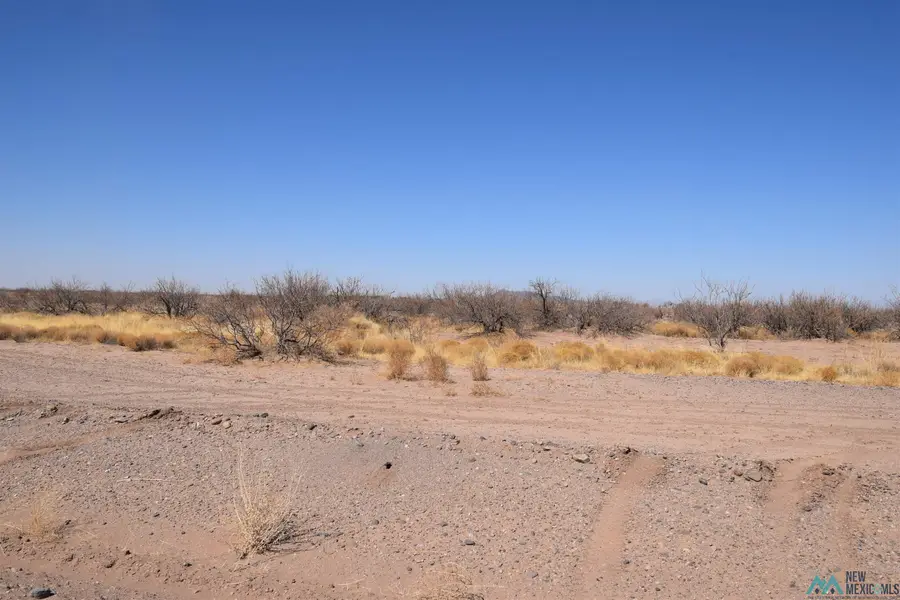 Hermanas Estates, Deming, NM 88030 - Image #3