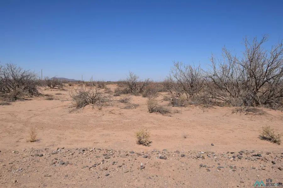Bessie Drive Lot 4, Deming, NM 88030 - Image #3