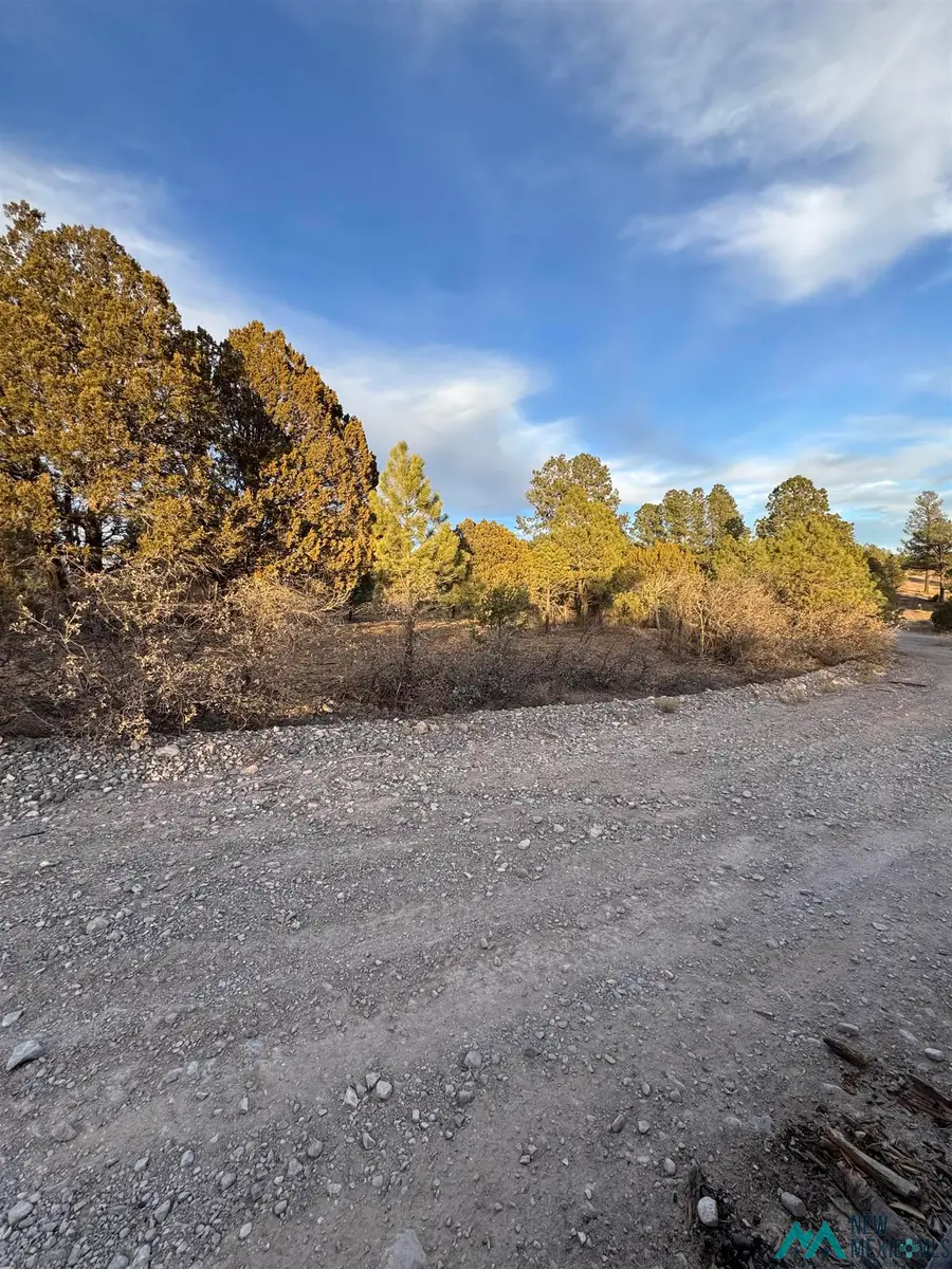 153 Eldrado Dr Drive, Timberon, NM 88350 - Image #2