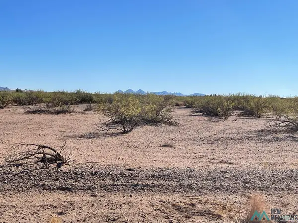 XXXX Bayita Rd Sw, Deming, NM 88030