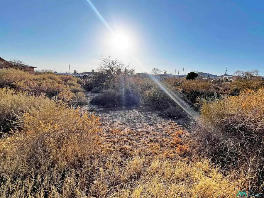 507 N Maple Street, Truth Or Consequences, NM 87901 - Image #2