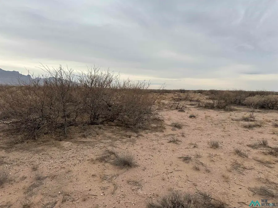 XXXX Rosa Rd Se, Deming, NM 88030 - Image #2