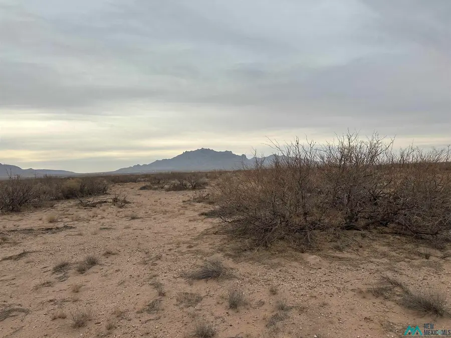 XXXX Rosa Rd Se, Deming, NM 88030 - Image #3