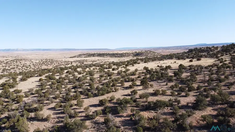 R207200, Prewitt, NM 87045 - Image #3