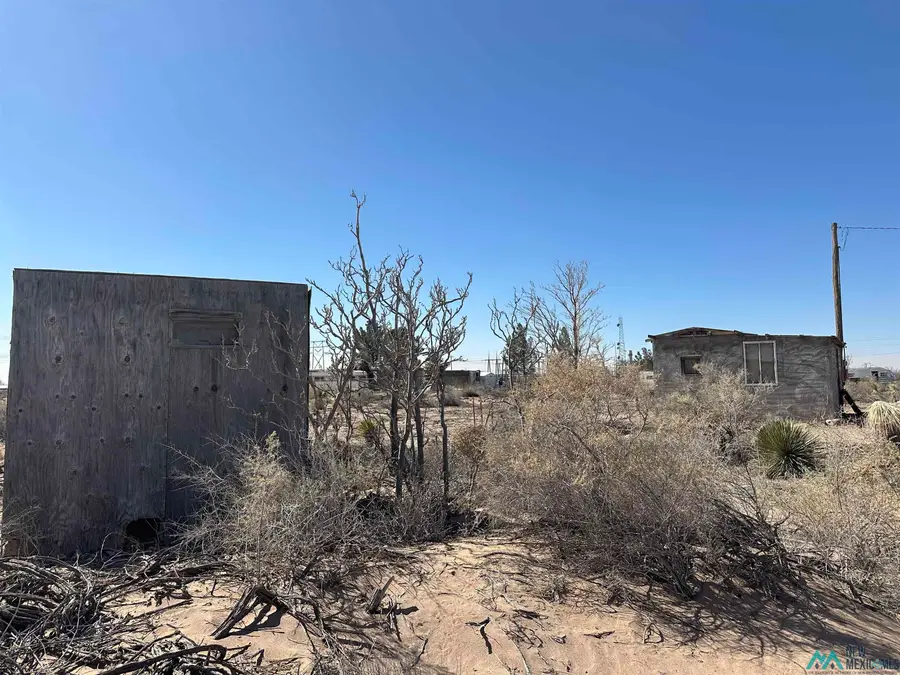 XXXX Sands Rd Nw #2, Deming, NM 88030 - Image #3