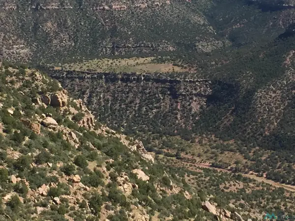 1 Canyon Largo Canyon, Sabinoso, NM 87746