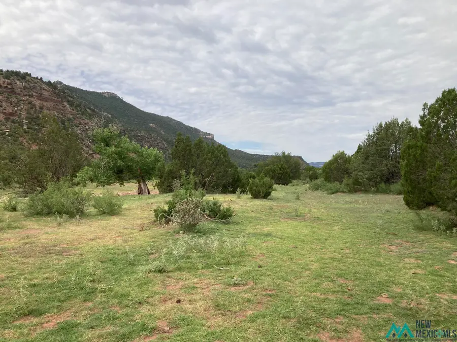 1 Canyon Largo Canyon, Trementina, NM 87746 - #2
