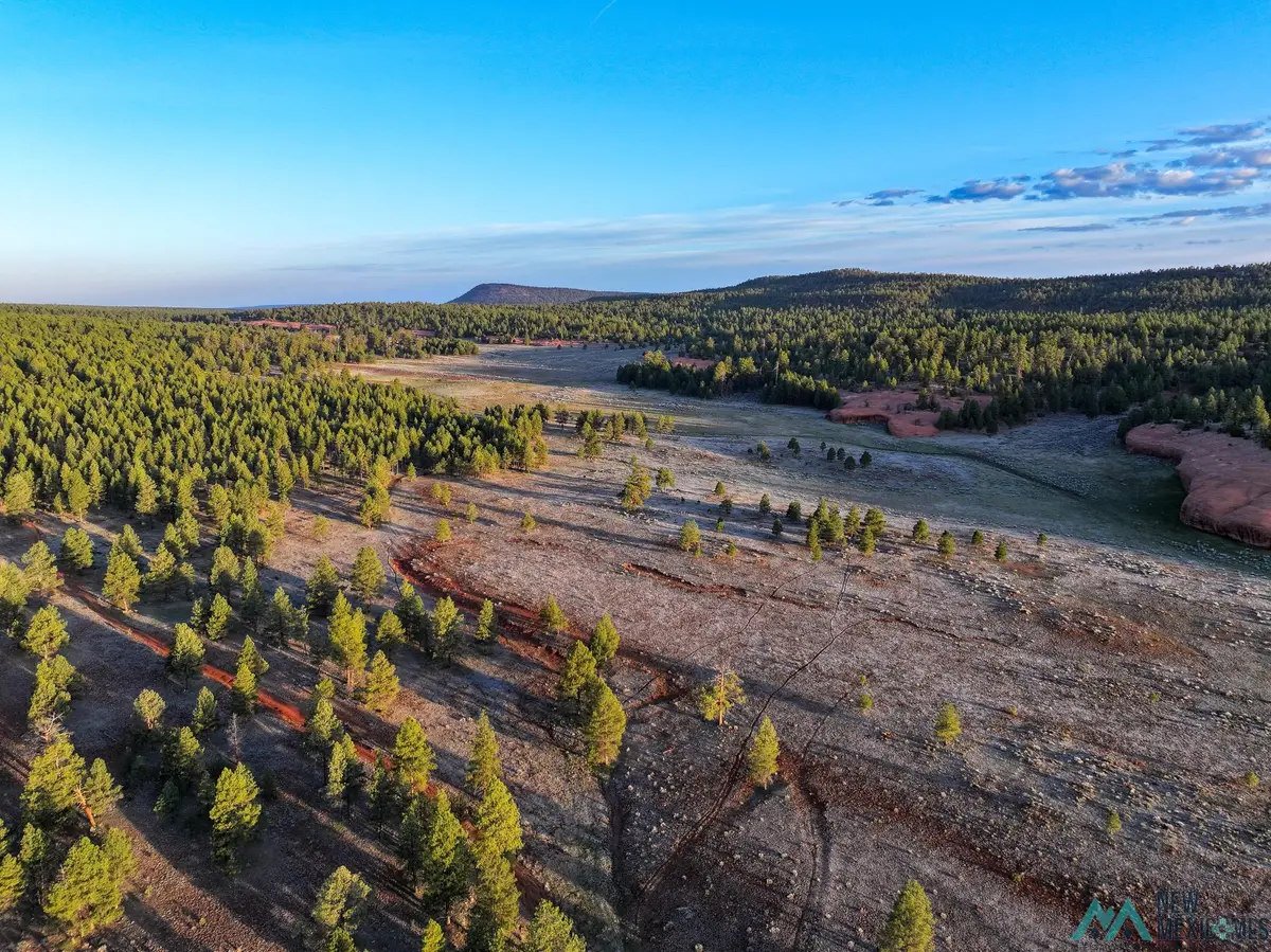 000 T12n R15w, Grants, NM 88007 - Image #1