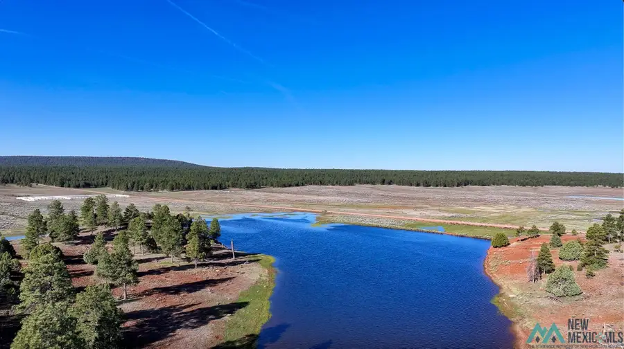 000 T12n R15w, Grants, NM 88007 - Image #2