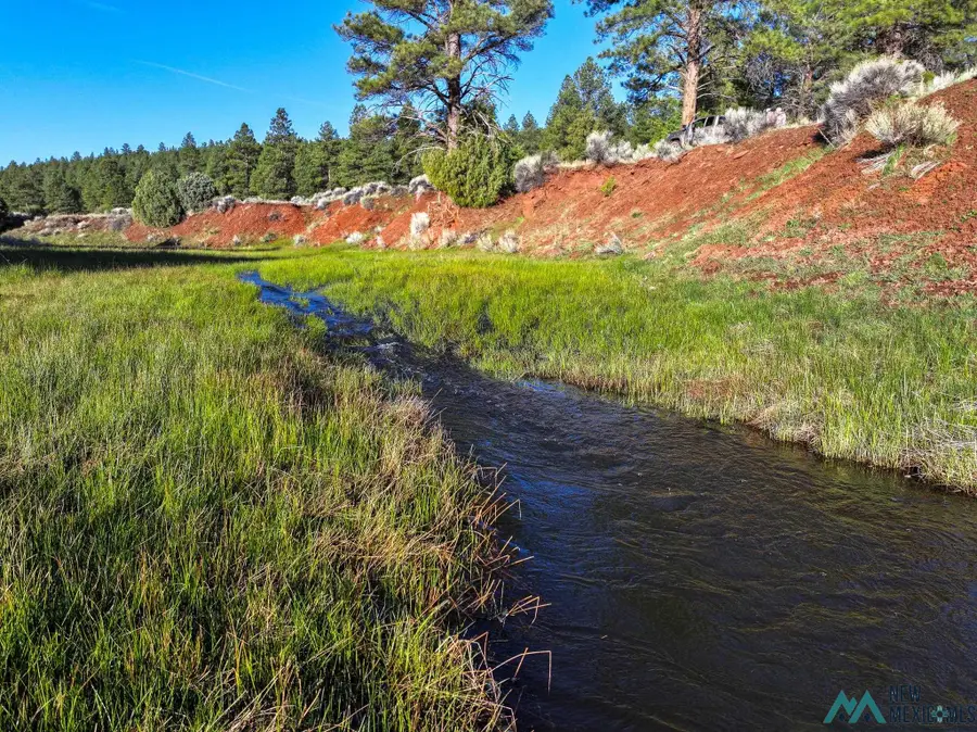 000 T12n R15w, Grants, NM 88007 - Image #3